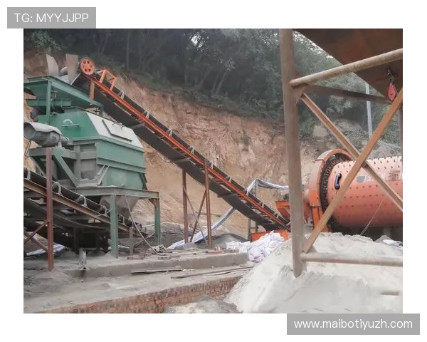 MK体育电脑版官网汇聚全球各类体育赛事信息，满足不同用户的多样化需求