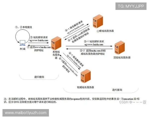 开云体育域名维护与管理实用技巧保障域名长期稳定运营与品牌发展